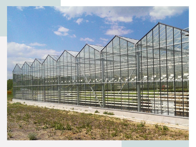 Строительство теплиц в Бирск от 624 руб. за м²